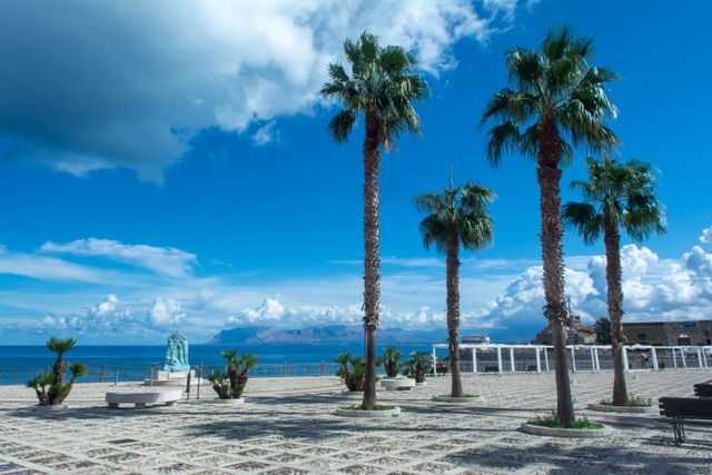 Stunning view of palm trees along the seaside in Castellammare del Golfo, Sicily.